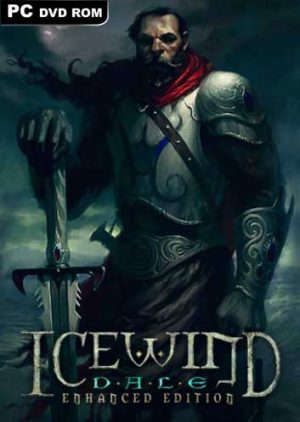 Icewind Dale: Enhanced Edition